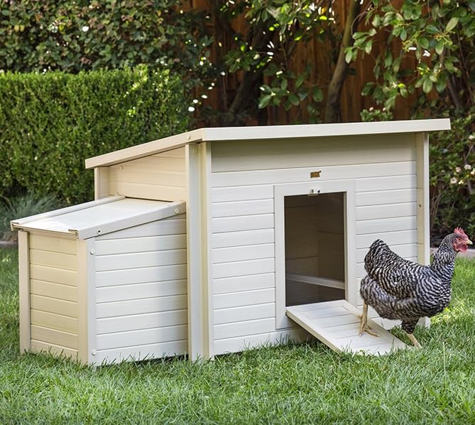 New Age Pet ECOFLEX Fontana Chicken Coop, Urban Barn for 2 to 3 Chickens, Easy Assembly, Eco Friendly & Durable, Tan - color: Maple, size: 52.4"L x 29.4"W x 29.1"H