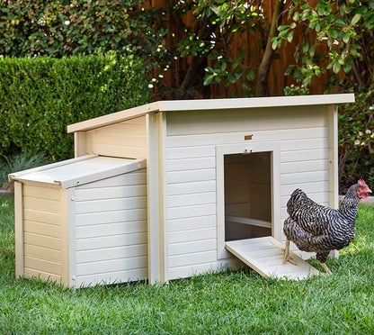 New Age Pet ECOFLEX Fontana Chicken Coop, Urban Barn for 2 to 3 Chickens, Easy Assembly, Eco Friendly & Durable, Tan - color: Maple, size: 52.4"L x 29.4"W x 29.1"H