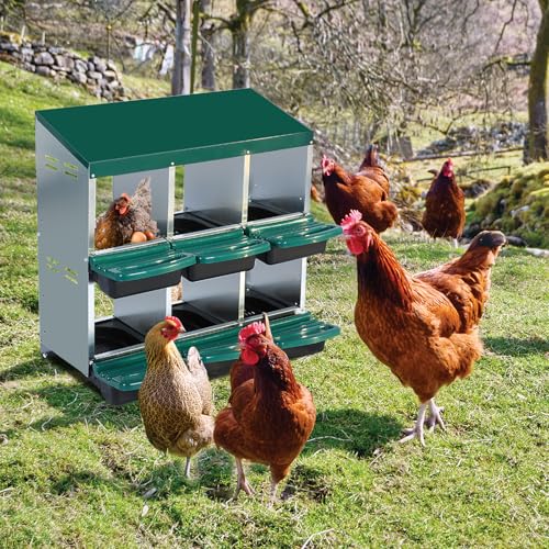 Garvee Chicken Nesting Box, Chicken Laying Box with Egg Collection, Roll Away Nesting Boxes, Metal Egg Laying Boxes for Chickens Coop, Duck Coops and Hens