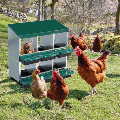 Garvee Chicken Nesting Box, Chicken Laying Box with Egg Collection, Roll Away Nesting Boxes, Metal Egg Laying Boxes for Chickens Coop, Duck Coops and Hens