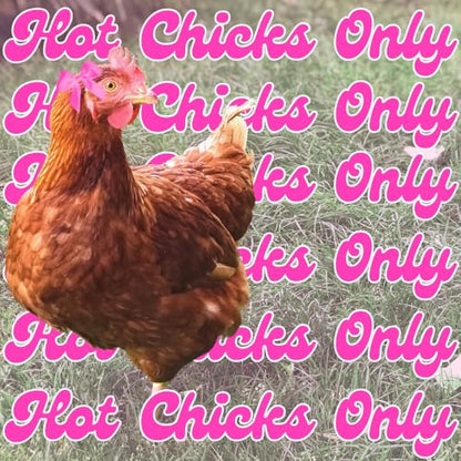 The Original Poultry Pro Hot Chick Feeder Kit - As seen on Shark Tank, 3 Ports, 3 Seal Bushings & Hole Saw, Gravity Fed, Chicken Accessories, Use for Buckets, Bins & Troughs (Bucket Not Included) - style: Hot Chick Feeder Kit