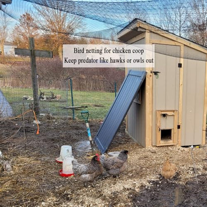 Bird Netting for Chicken Coop 25x100 Ft, 1" Mesh, Strong Woven Poultry Netting Roof Cover for Chicken Run, Heavy Duty Bird Net for Fruit Trees, Blueberry, Vegetables, Garden Protection - size: 25x100Ft-1"