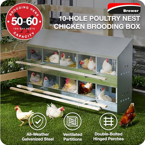 Brower 2-Tier 10-Hole Galvanized Steel Chicken Nesting Box, 50 to 60 Hen Capacity – Outdoor Poultry Laying Station with Hinged Folding Perches, Ventilated Design & Slanted Roof – Made in the USA - size: 10-Hole