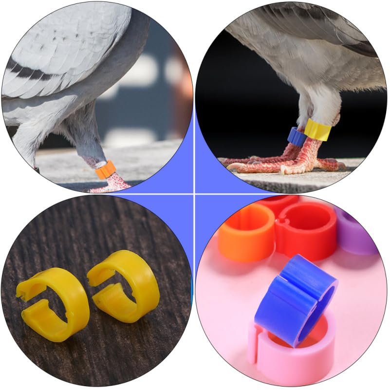 150pcs 8mm Pigeon Ring Identification Band Non-deformable Plastic Foot Ring for Birds Leg Bands Chicken
