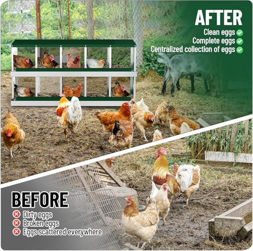 Chicken Nesting Box, 10 Compartment Metal Nesting Boxes for Chicken Coop, Easy Egg Collection, Easy Cleaning, Durable Green Chicken Laying Boxes for Hens