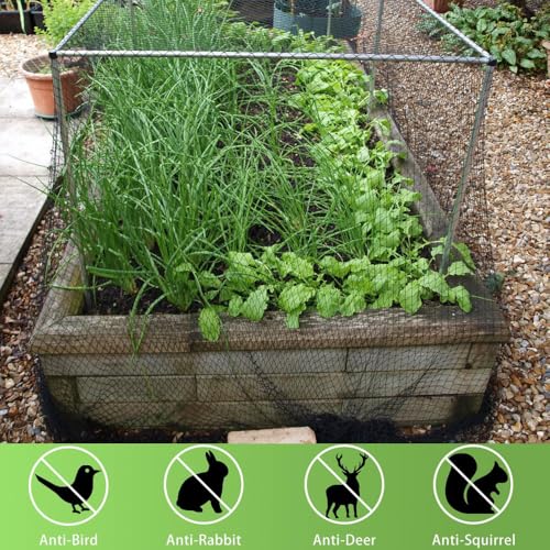 Bird Netting 20x30 Ft, 1/2In Mesh Heavy Duty Garden Netting Pest Barrier for Plants, Fruit Trees, Vegetables, Extra Strong Woven Mesh Netting, Animal Fencing Against Birds, Deer, Poultry - size: 20×30 FT