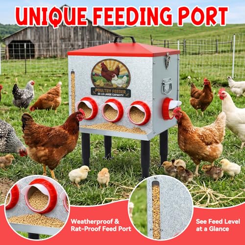 55lbs Automatic Chicken Feeder Large Capacity - 8 Feeding Ports, Galvanized Steel Rainproof Chicken Feeder, Height-Adjustable Legs & Secure Locking Lid for Chickens, Ducks & Poultry