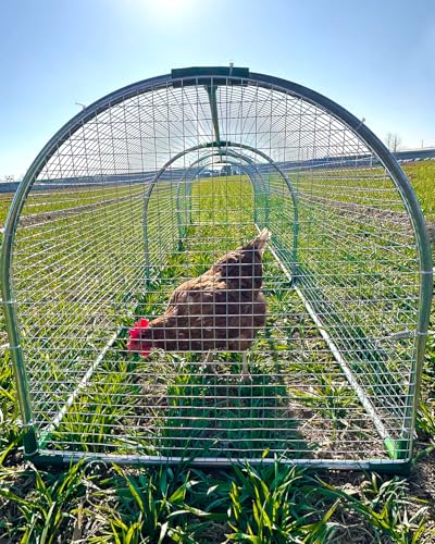 Backyard Chicken Coop Run for 8–12 Chickens – Outdoor Metal Chicken Tunnel, Predator-Proof, Easy Install, Suitable for Chickens, Ducks & Rabbits (118" x 26" x 23") - size: 118X27.55X23.62in