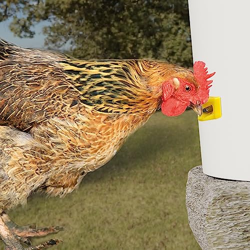 Chicken Waterer Nipples, Horizontal Side Mount, Anti-Leak Automatic Water System for Poultry, Suitable for Chickens, Duck, Quail, Pack of 12, Includes Drill Bit & Installation Tool