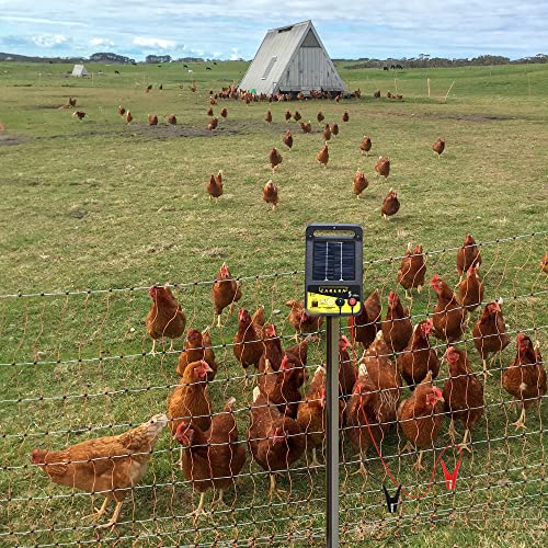 Electric Fence Wire Connect The Energizer and Electric Fence Charger Solar Fence Charger Solar Powered Electric Fence, Solar Electric Fence, Electric Fence Lead Wire with Alligator Clip, 3 Ft - style: 3FT Wire