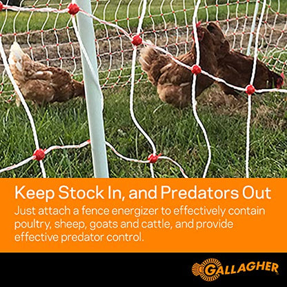 Gallagher 48" x 82' Electric Poultry Netting | Highly Conductive Braided Electric Chicken Fencing with Double-Spiked Fiberglass Posts | Electric Fencing for Backyards, Pastures, Farms and Homesteads