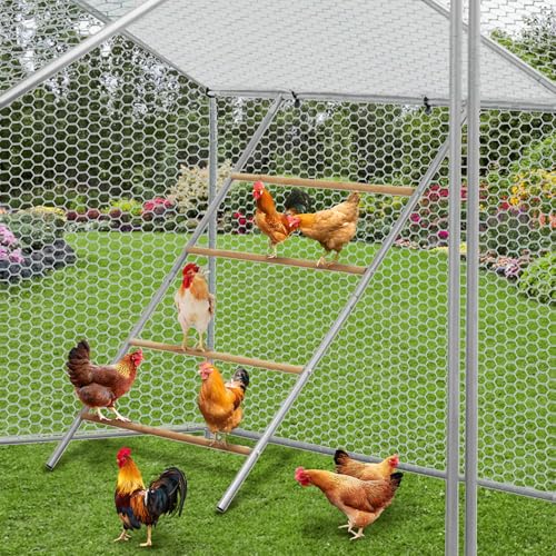 Chicken Perch for Coop with Wooden Ladder, Roosting Bars for Chicken in Coop for Farm Poultry Backyard, Easy Assemble & Clean - size: 55.12"L x 39.37"H
