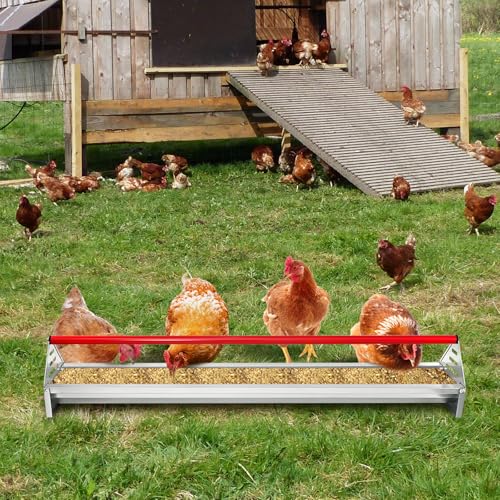Chicken Feeding Trough, Heavy Duty Galvanized Steel Feeder with Drainage Holes & Crossbar, 45in Poultry Feeder Trough for Chicken, Duck, Geese, Turkey, Rabbit and Pigeon