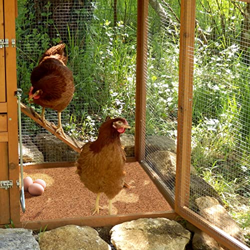 Chicken Nest Pad, 33 x 33 cm Washable Plastic Chicken Nest Box Liner,Chicken Nest Box,Chicken Nest Box Plastic Mat, Chicken Coop Bedding Liners Mat Laying Hen Nesting Box Pads for Hen Laying(10pcs) - color: 10pcs
