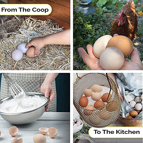 JIYUJIAHUA Egg Basket, Collapsible Mini Storage - Can Easily Load Eggs for Carrying and Collecting Eggs, Easy Washing, and Fast-drying, Country Primitive Farmhouse Style, DANLAN-001