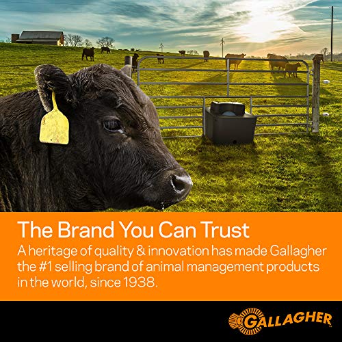 Gallagher Electric Fence Wire — 1,640ft (500m) Polywire for Livestock, Horses & Cattle | 6 Stainless Steel Strands | Poly Wire UV & Rust Resistant | 1/16" Diameter