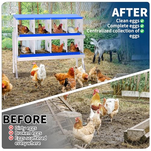 8 Compartment Chicken Nesting Box, Galvanized Steel Metal Laying Box with Removable Tray Roll-Out Egg Collection, Wall Mount Hen Roosting Box, Easy Egg Collection - color: Blue, size: 8 holes with legs