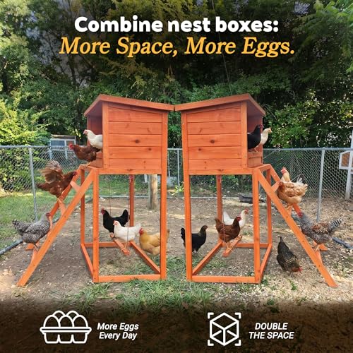 3-in-1 Chicken Nesting Boxes, Wooden Laying Egg Nest Box with Perch, Swing and Climbing Ladder, 3 Compartments Poultry Nesting Box for Chickens, Hens, Ducks and Coop Use