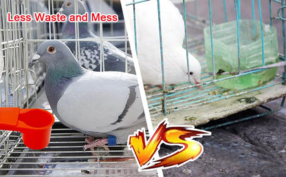 10 Pcs Bird Drinker Feeder Plastic Soda Pop Water Bottle Cup Pigeon Water Bottle Feeder for Cage for Chicken Pigeons Birds (Plastics, 10pcs)