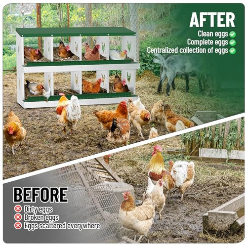 Chicken Nesting Box,8 Holes Galvanized Steel Metal Chicken Laying Box with Automatic Roll-Away Egg Collection System & Removable Tray,Wall Mount Nesting Boxes - color: Green, size: 8 Holes