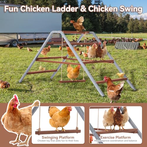 PETSFIT Chicken Roosting Bar-Solid Wood and Rustproof Iron Design, Chicken Perch with Swing for Healthy Poultry-Ideal for Backyard Coops, Farms, Easy to Assemble and Clean - size: 62"Lx24"Wx28"H