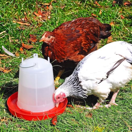 Pickmesh 2 Pcs 2 Gallon Plastic Poultry Drinker Poultry Waterer Automatic Chicken Water Feeder Fed Water Container Jar for Duck Baby Chicks Rabbit Turkeys Outdoor Farm