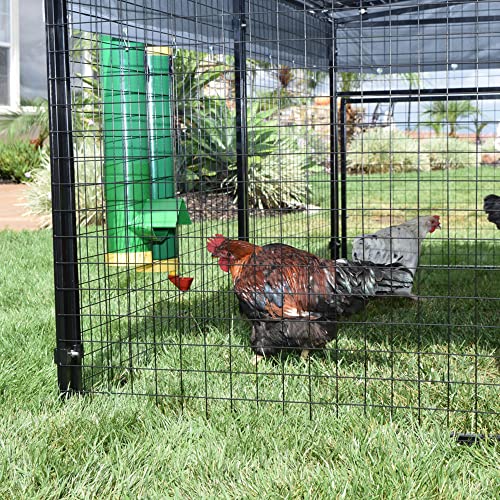 Rugged Ranch 2-Gallon Poultry Waterer & 10-Lb Feeder Combo for Chicken Coops, Green - Outside-Mount Design, Weather-Resistant, Easy Refill Access & Rain Shield to Help Keep Feed Dry