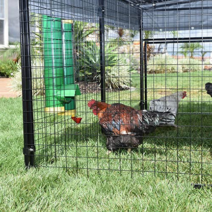 Rugged Ranch 2-Gallon Poultry Waterer & 10-Lb Feeder Combo for Chicken Coops, Green - Outside-Mount Design, Weather-Resistant, Easy Refill Access & Rain Shield to Help Keep Feed Dry
