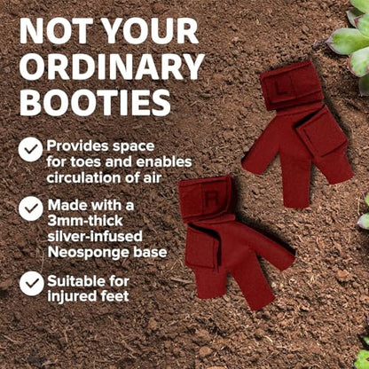 Chicken Shoes for Injured Feet – Protective Neoprene Footwear for Chicken, Open-Toe Design for Bumblefoot Relief, Made in USA (Chicken Shoes, Red, Medium Chickens) - color: Red