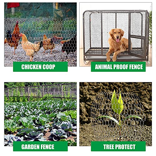 Chicken Wire Fencing, 6ft x 50ft Hexagonal Galvanized Chicken Wire Mesh Fence 2 Inch Mesh Fence Poultry Netting Animal Barrier for Craft Projects Gardening Chicken Coop Rabbit Pet - size: 6ft x 50ft