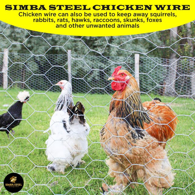 Chicken Wire 36 in x 150 FT x 2” Mesh x 20GA | Poultry Wire Netting | Hot Dipped Galvanised | Hexagonal Galvanized Mesh for Chicken Coop, Rabbit Cage, Fence Barrier PM36x150x2 - style: 36 in x 150 FT x 2 in