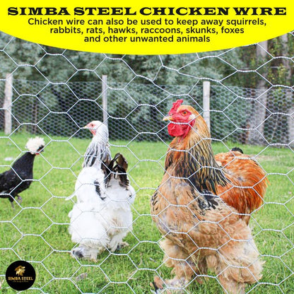 Chicken Wire 12 in x 150 FT x 2” Mesh x 20GA | Poultry Wire Netting | Hot Dipped Galvanised | Hexagonal Galvanized Mesh for Chicken Coop, Rabbit Cage, Fence Barrier PM12x150x2 - style: 12 in x 150 FT x 2 in