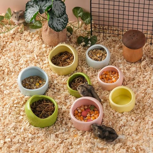 VanEnjoy 4 Pack Medium Hamster Food Bowl Ceramic Guinea Pig Food Dish No Spill Hamster Food and Water Bowl Small Animal Food Bowl for Chinchilla Hedgehog Hamster Gerbil - Pink Blue Yellow and Green - size: 2.95"*2.17"