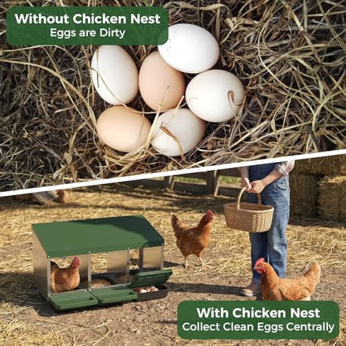 Metal Chicken Nesting Box – 3 Holes, Roll Away Egg Laying, Heavy Duty Galvanized Steel, Protective Lid, Wall Mounted or Freestanding, Easy Clean, Vented Pegboard Design, Green (Pegboard - color: Green, size: 3 Room&Mat Board