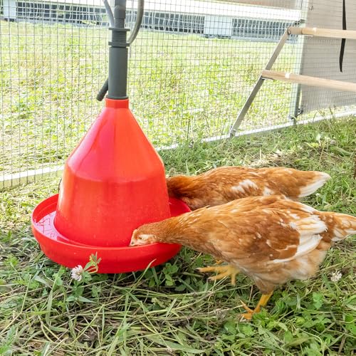 Premier 1 Suspended Dome Drinker for Chickens, Ducks, Geese & Turkeys