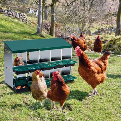 Chicken Nesting Box,Nesting Boxes for Chickens,Roll Away Nesting Boxes,10 Hole 2 Layer Hen Nest Boxes with Legs,Chicken Nesting Boxes,Easy Egg Collection,Cleanable Pull Out Hen Roosting Boxes - color: Green, size: 10 Holes Without Stand