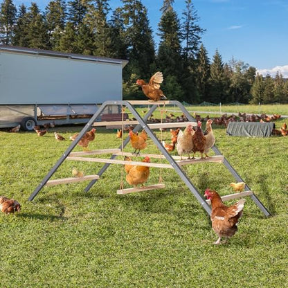 PETSFIT Chicken Roosting Bar-Solid Wood and Rustproof Iron Design, Chicken Perch with Swing for Healthy Poultry-Ideal for Backyard Coops, Farms, Easy to Assemble and Clean - size: 62"Lx24"Wx28"H