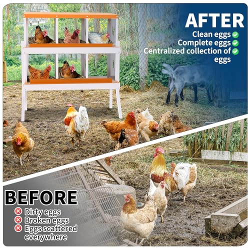 6 Compartment Chicken Nesting Box, Galvanized Steel Metal Laying Box with Removable Tray Roll-Out Egg Collection, Wall Mount Hen Roosting Box, Easy Egg Collection - color: Orange, size: 6 holes with legs
