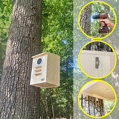 Squirrel Nest Box - Cage Attachment, Hinged Lid, Perching Ledge - for Squirrels, Sugar Glider, Rat, Finch, Parakeet, Lovebird, Canary, Cockatiel, Other Birds & Small Pets - size: Extra Large