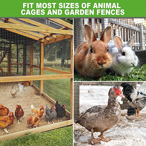 Land Guard 19 Gauge Hardware Cloth, 1/2 inch Chicken Wire Fence, Galvanized Welded Cage Wire Mesh Roll Supports Poultry Netting Cage Fence… - size: 1/2inch 16inch×50ft