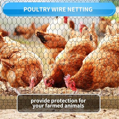 24'' x 50' Black Chicken Wire Fencing, 1 inch Chicken Wire and 19 Gauge Poultry Netting, Garden Mesh Fence Roll for Floral Arrangements,Crafts, Farm,Livestock,Pet Protection - size: 19 gauge 24'' x 50'