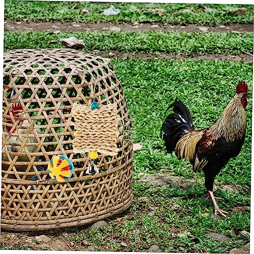 balacoo 5pcs Chicken Feeder Toy Set Hanging Chew for Hens Parrots Coop Toys for Birds Interactive Play Accessories Fun Engaging Pet Enrichment