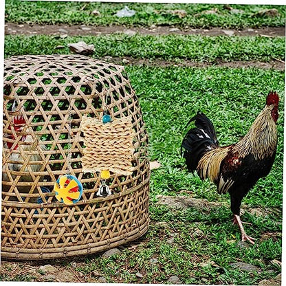 balacoo 5pcs Chicken Feeder Toy Set Hanging Chew for Hens Parrots Coop Toys for Birds Interactive Play Accessories Fun Engaging Pet Enrichment