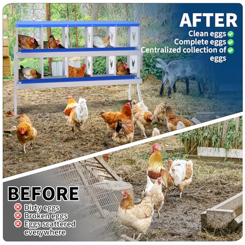 Garvee Rustproof Galvanized Metal Chicken Nesting Box – 10 Compartments, Roll Away Egg Collection, Perch, Ventilated, Easy Install and Clean, with Bracket, Blue - color: Blue, size: 10 holes with legs