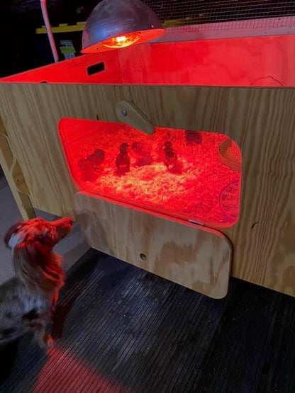 Ben's E-Z Brooder