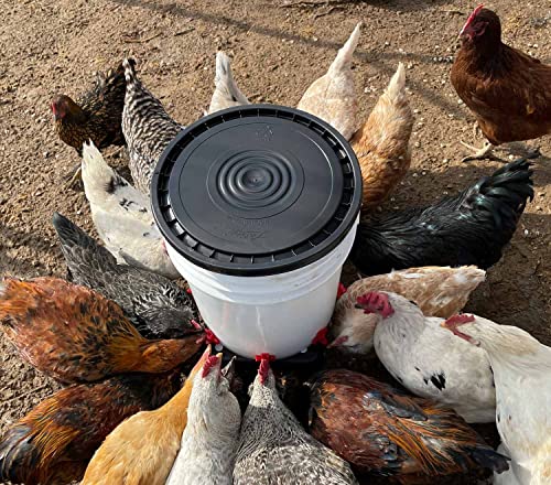 Noble Nest 5 Gallon Bucket Chicken Nipple Waterer, 8 Nipple, 360° Waterer - color: No Stand, size: 8 Nipple, 360° Waterer