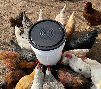 Noble Nest 5 Gallon Bucket Poultry Nipple 360° Waterer, 8 Nipple, No Stand - color: Add Black Waterer Stand, size: 8 Nipple, 360° Waterer