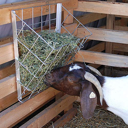 Rugged Ranch SGGBF Wall Mounted Rustproof Galvanized Steel Sheep, Goat, Horse, Rabbit, Guinea Pig, and Cow Livestock Hay Feeder Rack, Silver (2 Pack) - size: 2 Pack