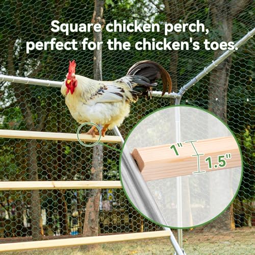 PETSFIT Square Chicken Roosting Perch, Perfect for Backyard Poultry, Chickens Perch for Coop, Easy to Assemble&Clean, Farm Chicken Toys (55" L x 40" W) - size: 55.0"L x 40.0"W x 2.5"H