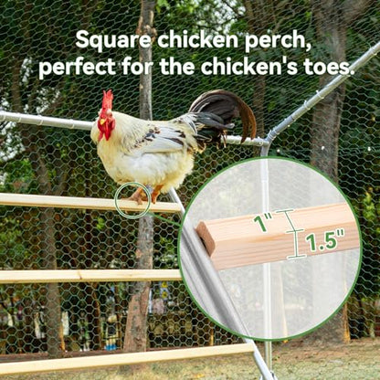 PETSFIT Square Chicken Roosting Perch, Perfect for Backyard Poultry, Chickens Perch for Coop, Easy to Assemble&Clean, Farm Chicken Toys (55" L x 40" W) - size: 55.0"L x 40.0"W x 2.5"H